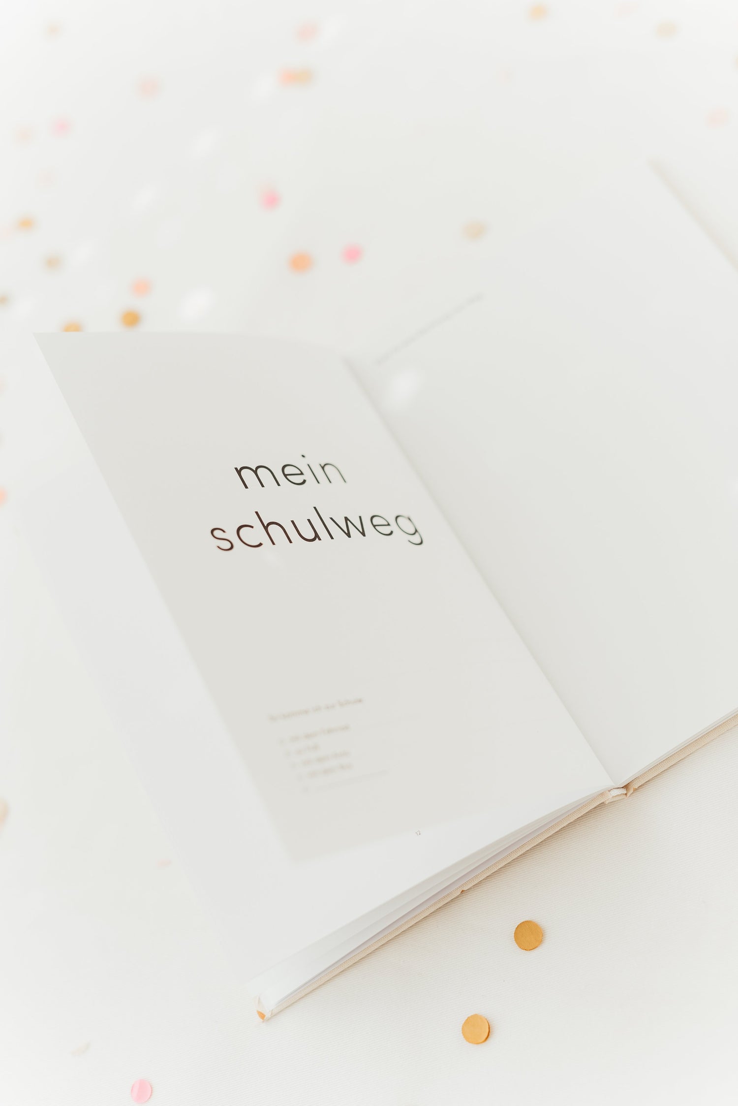 Erinnerungsbuch Schulkind